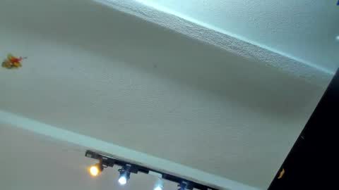 Snapshot of tafari_1 chatting on June 4, 2026, 11:16 am Tafari Zulu online show from June 4, 2026, 11:16 am