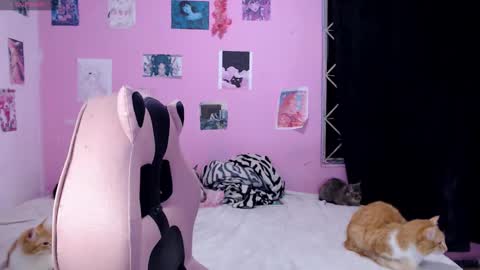 Alejandra Independent model online show from December 14, 2024, 6:02 am