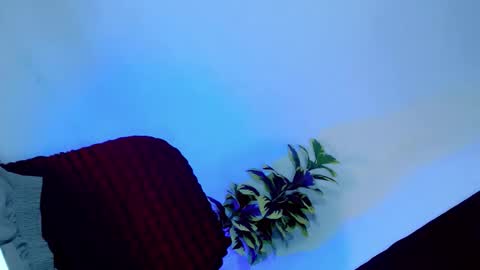 tamera_cummer0969 online show from November 20, 2025, 7:57 pm