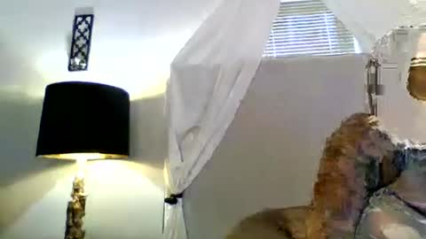 Tammygold online show from June 23, 2026, 7:23 pm