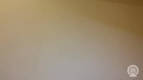 tanelure online show from January 31, 2026, 8:07 pm