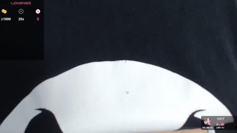 tarrant_ online show from January 15, 2025, 2:06 am