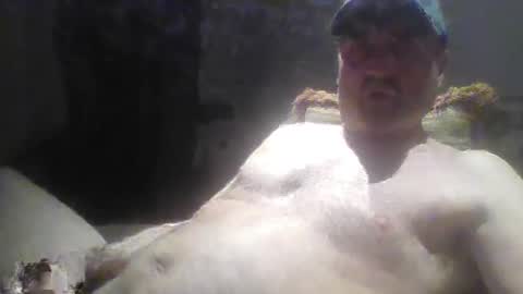 Snapshot of tarzeny77 chatting on June 4, 2026, 4:29 am tarzeny77 online show from June 4, 2026, 4:29 am