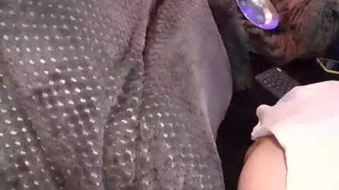 Snapshot of tattooman777 chatting on December 17, 2025, 3:45 am Jean pool online show from December 17, 2025, 3:45 am