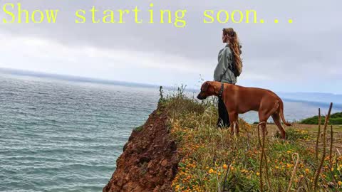 Snapshot of tatum__kahlo chatting on February 2, 2025, 11:21 pm TATUM ALL MY LINKS online show from February 2, 2025, 11:21 pm