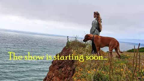 Snapshot of tatum__kahlo chatting on February 8, 2025, 9:36 pm TATUM ALL MY LINKS online show from February 8, 2025, 9:36 pm