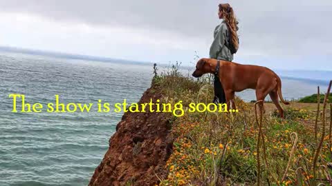 Snapshot of tatum__kahlo chatting on October 23, 2025, 10:30 pm TATUM ALL MY LINKS online show from October 23, 2025, 10:30 pm