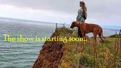 Snapshot of tatum__kahlo chatting on January 6, 2026, 9:29 pm TATUM ALL MY LINKS online show from January 6, 2026, 9:29 pm