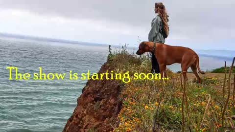 Snapshot of tatum__kahlo chatting on February 12, 2026, 12:49 am TATUM ALL MY LINKS online show from February 12, 2026, 12:49 am