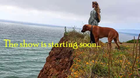 Snapshot of tatum__kahlo chatting on February 28, 2026, 12:00 am TATUM ALL MY LINKS online show from February 28, 2026, 12:00 am