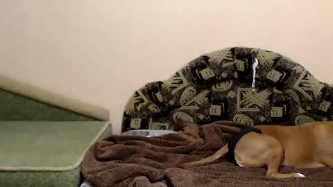 Taya online show from December 16, 2025, 7:30 pm