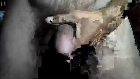 taylor3made online show from February 22, 2026, 8:46 am