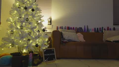 Taylor --  online show from December 21, 2025, 12:40 am