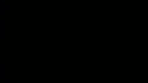 taylorsguy online show from June 28, 2026, 8:04 pm