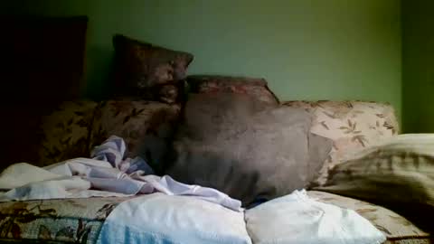 Teak online show from October 19, 2025, 12:50 pm