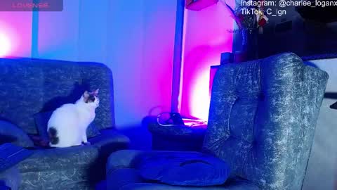 Charlee He online show from June 7, 2026, 2:59 am