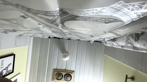 Snapshot of teejm chatting on February 12, 2025, 12:33 pm Twizzler online show from February 12, 2025, 12:33 pm