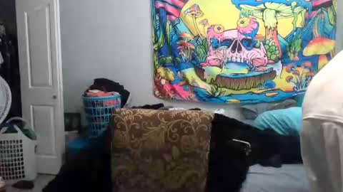 tehkie online show from June 24, 2026, 11:48 pm