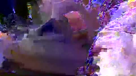 teki80j online show from January 30, 2025, 8:11 am