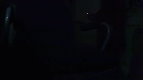 tetuo2 online show from September 28, 2025, 9:36 am