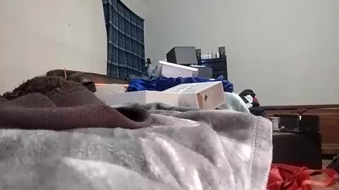 TexasDick online show from January 24, 2025, 7:30 am