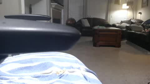 texasmale53 online show from June 19, 2026, 2:38 am
