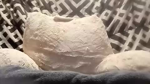 thatb1 online show from April 13, 2026, 5:46 am