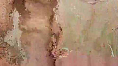 Snapshot of the1st_play_girl chatting on December 30, 2024, 6:27 pm the1st_play_girl online show from December 30, 2024, 6:27 pm