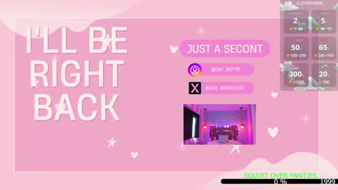 Snapshot of the_cat_girl_ chatting on January 31, 2025, 6:36 pm i am Cat online show from January 31, 2025, 6:36 pm