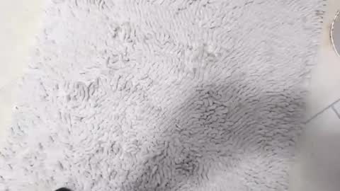 Snapshot of the_one_who_is_small chatting on April 8, 2026, 8:42 pm TheOne online show from April 8, 2026, 8:42 pm