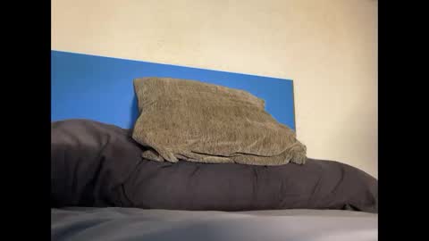 thebulge_b0y online show from October 20, 2025, 8:48 am