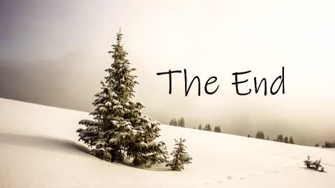 Snapshot of thedome372 chatting on March 3, 2025, 10:42 pm thedome372 online show from March 3, 2025, 10:42 pm