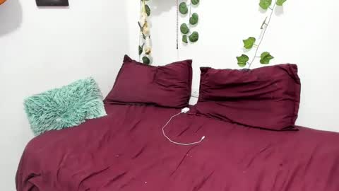 Snapshot of thefenix_jyk chatting on February 5, 2025, 4:06 am Ariamapola88 online show from February 5, 2025, 4:06 am