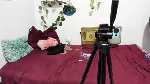 Snapshot of thefenix_jyk chatting on March 4, 2025, 6:15 am Ariamapola88 online show from March 4, 2025, 6:15 am