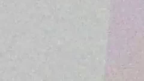 fuzzyfox online show from April 3, 2026, 12:08 am