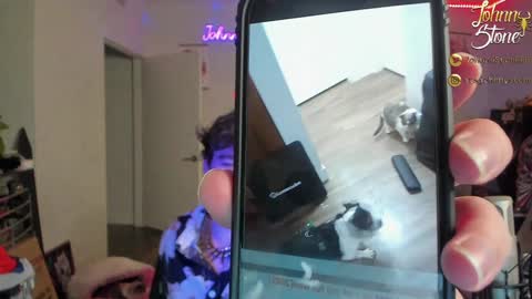 Snapshot of thejohnnystone chatting on December 29, 2024, 1:13 am Johnny Stone online show from December 29, 2024, 1:13 am