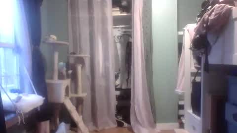 Little Bambii online show from January 27, 2025, 9:55 pm