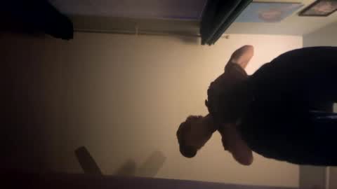 theonlyboi43ver online show from January 2, 2025, 1:49 am