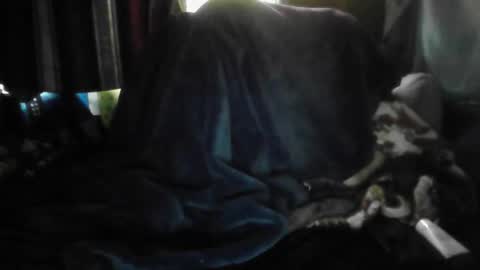 theonlyboi43ver online show from March 15, 2026, 12:11 pm