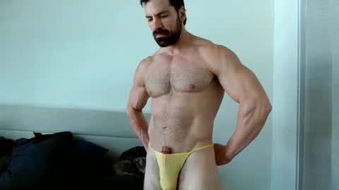 Snapshot of therealkingyoshi chatting on November 24, 2025, 6:18 pm Yoshi online show from November 24, 2025, 6:18 pm