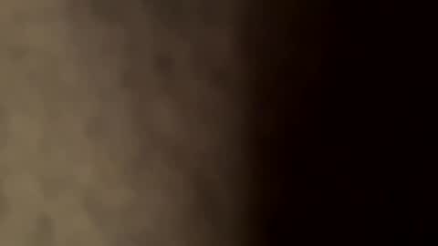 Snapshot of therealpietro77 chatting on January 28, 2025, 9:29 pm therealpietro77 online show from January 28, 2025, 9:29 pm