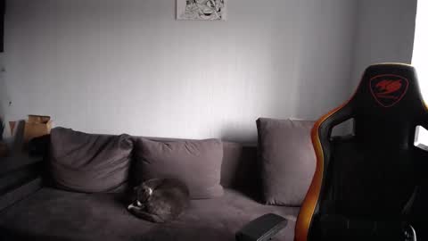 Snapshot of theroadtomars chatting on November 23, 2025, 8:47 am Nick online show from November 23, 2025, 8:47 am