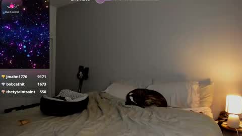 Selina Kyle online show from January 24, 2025, 8:13 am