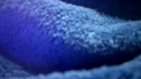 that would be telling online show from February 16, 2026, 1:18 pm