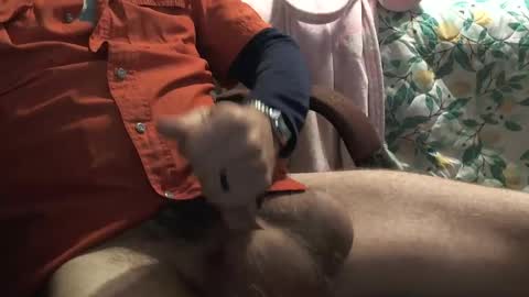 thetnguy online show from December 23, 2024, 6:27 pm