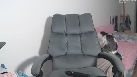 theysaidimcute online show from February 19, 2026, 9:11 pm