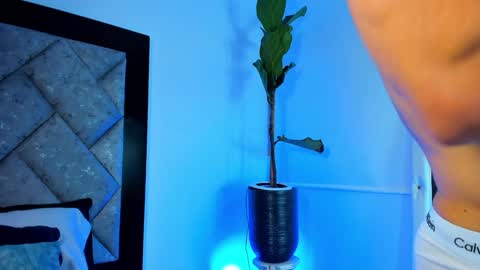 Snapshot of thiagoferrari1 chatting on December 29, 2024, 4:27 am thiago online show from December 29, 2024, 4:27 am