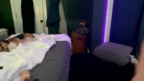 Thick D Bottom online show from March 12, 2026, 4:51 am