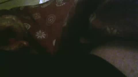 thisbloke96 online show from December 17, 2025, 10:27 pm