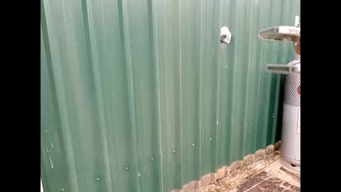 Snapshot of throbmasterr chatting on September 12, 2025, 9:48 pm throbmasterr online show from September 12, 2025, 9:48 pm